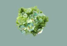 long term financial sustainability strategies