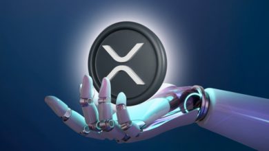 XRP Price Calculator and Volatility: What You Need to Know